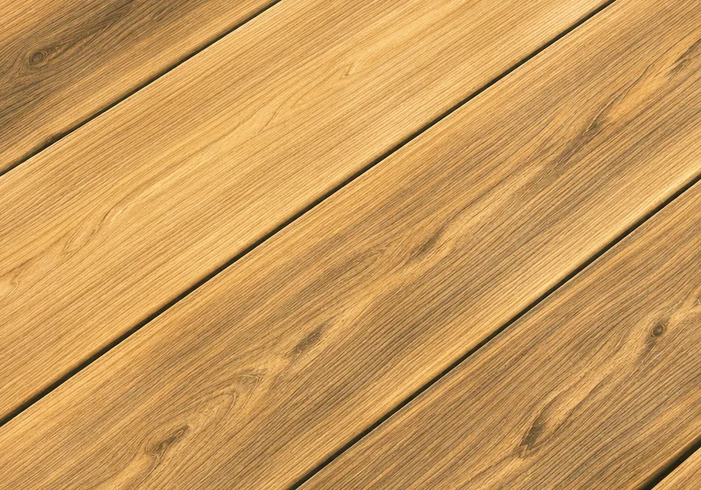CEDAR
